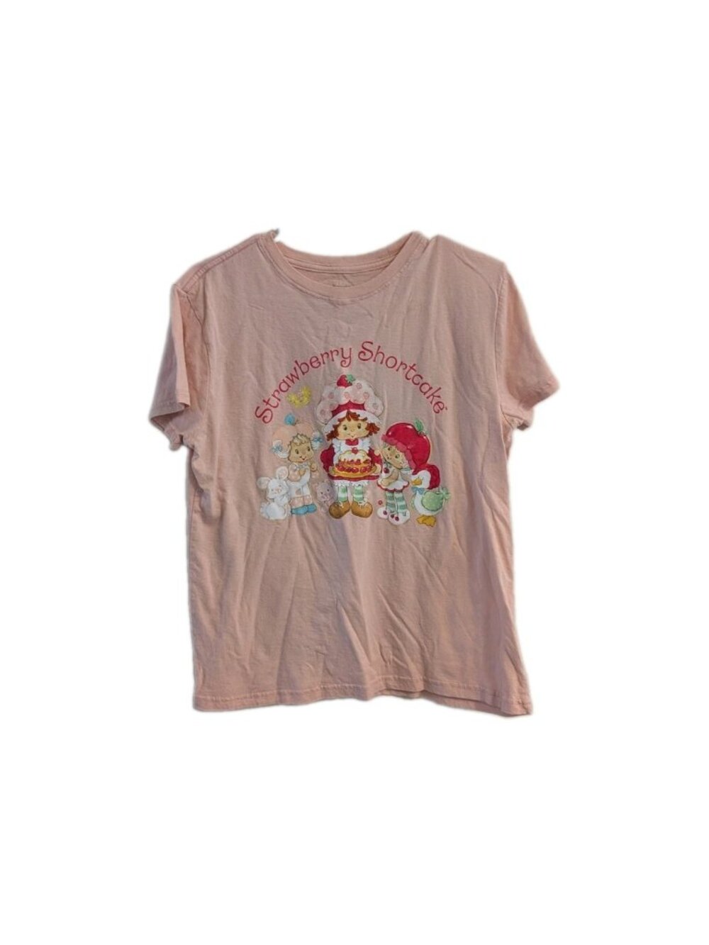 Strawberry Shortcake Graphic Tee Medium Pink Coquette Soft Girl Baby Tee